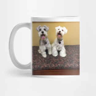 Cute Schnauzers Mug